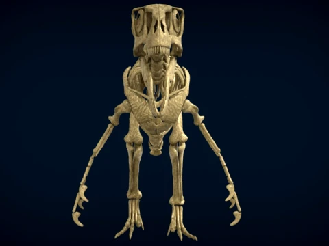 Highly Detailed Dinosaur Skeleton Display for Museum Medical Educational 3D Printable Model Sepa 3D Model