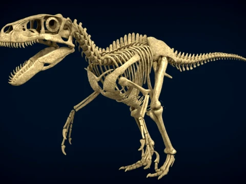 Highly Detailed Dinosaur Skeleton Display for Museum Medical Educational 3D Printable Model Sepa 3D Model