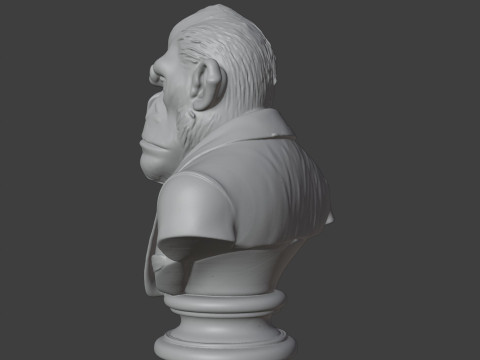 Bored Ape Bust 3D STL Printable - STL 3D प्रिंट मॉडल