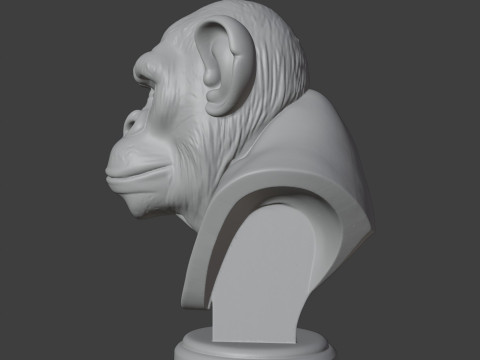 Bored Ape Bust 3D STL Printable - STL 3D-Druckmodell