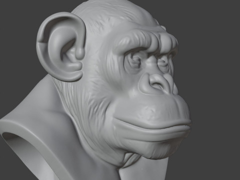 Bored Ape Bust 3D STL Printable - STL 3D-Druckmodell