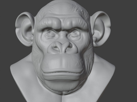 Bored Ape Bust 3D STL Printable - STL 3D-Druckmodell