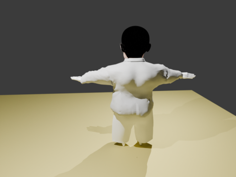 Mamfes 3D Model