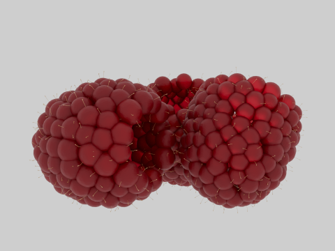 Raspberries 3D Модель