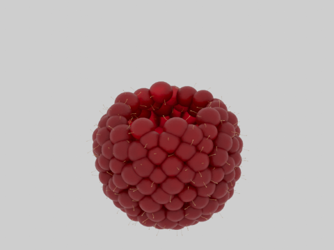 Raspberries Modèle 3D