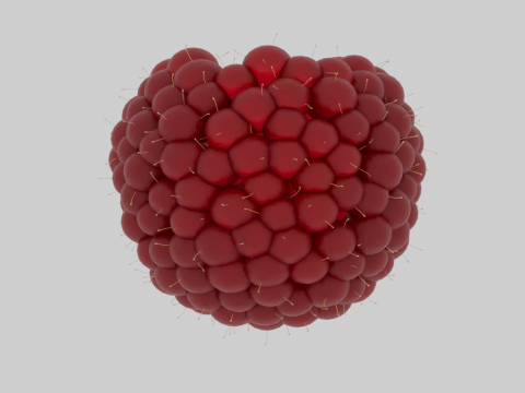 Raspberries 3D Model