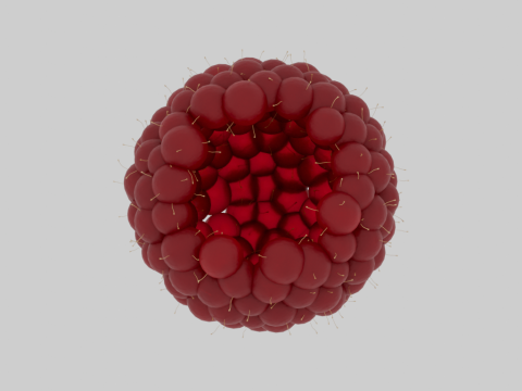 Raspberries 3D Model