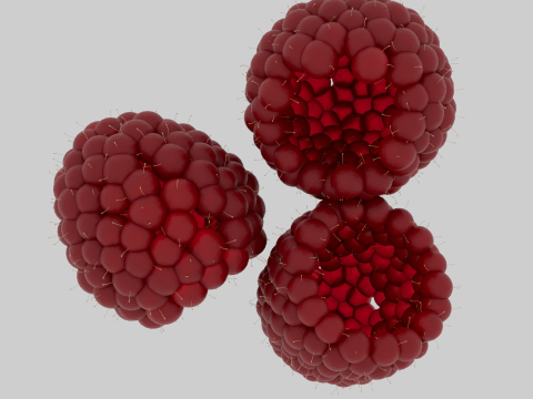 Raspberries 3D Model