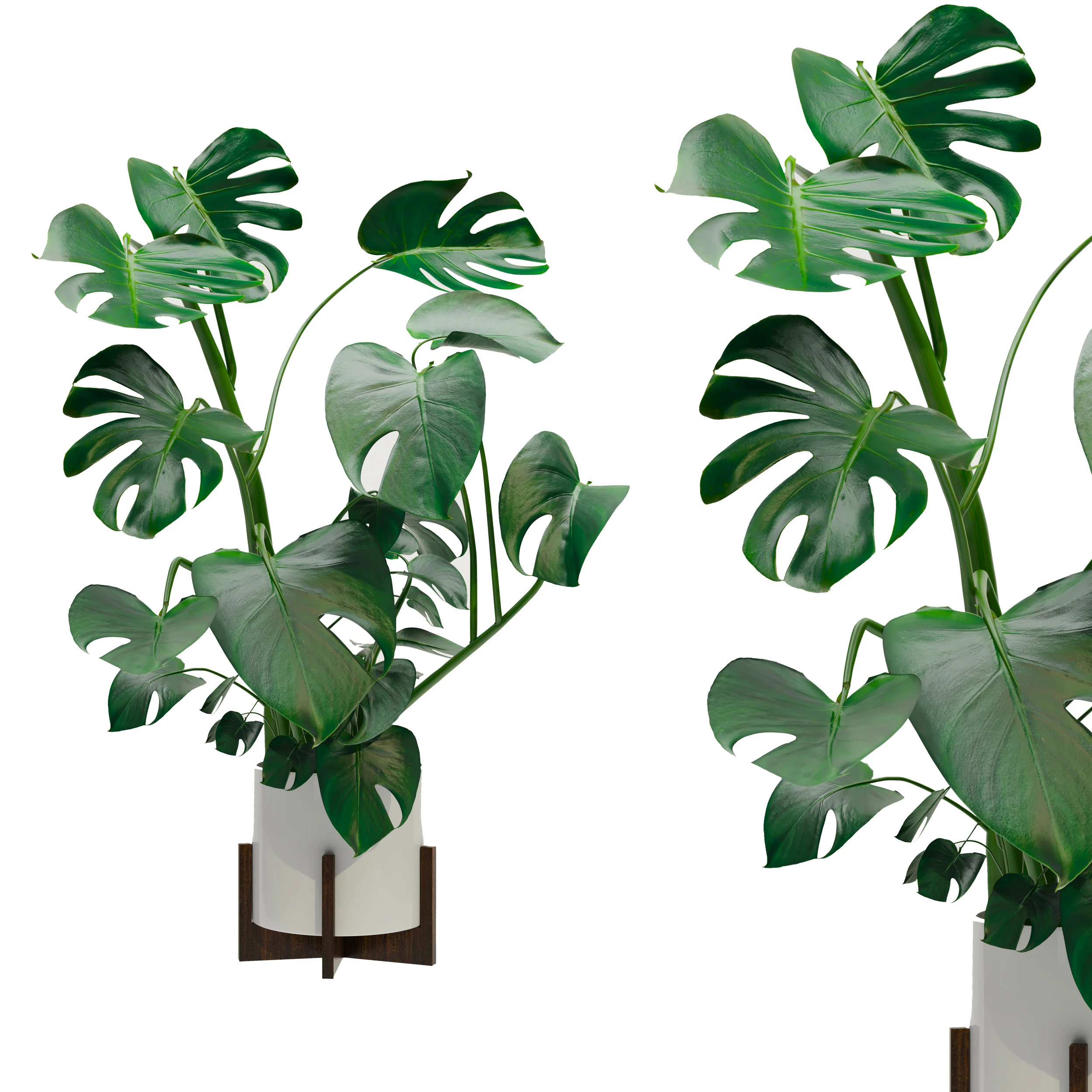 Plants set 01 3D Model .c4d .max .obj .3ds .fbx .stl .blend 