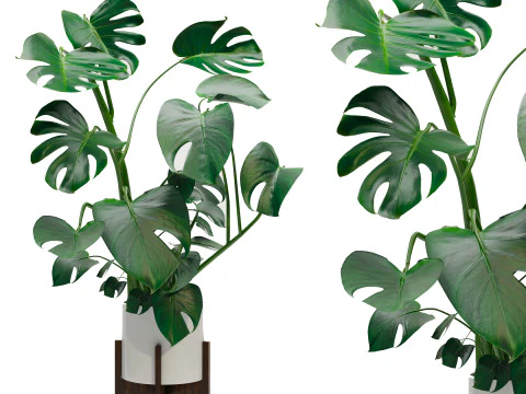 植物セット01 3Dモデル