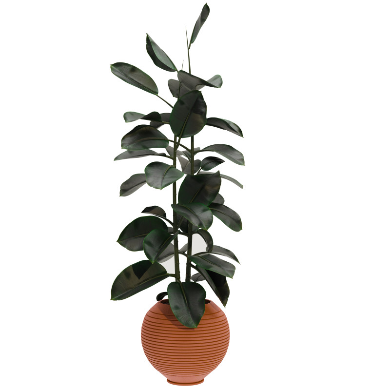 Plants set 03 3D 模型 .c4d .max .obj .3ds .fbx .stl .blend 