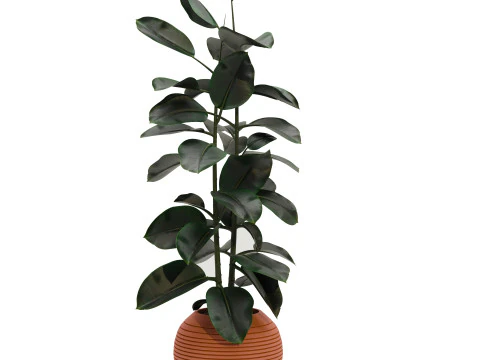 Conjunto de plantas 03 Modelo 3D