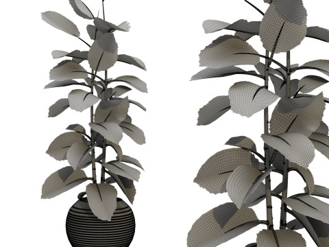 Plants set 03 3D 模型
