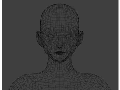Female body model 3D Model