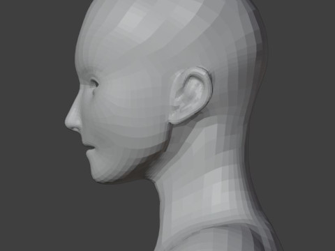Female body model 3D Model