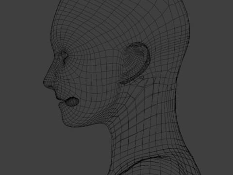 Female body model 3D Model
