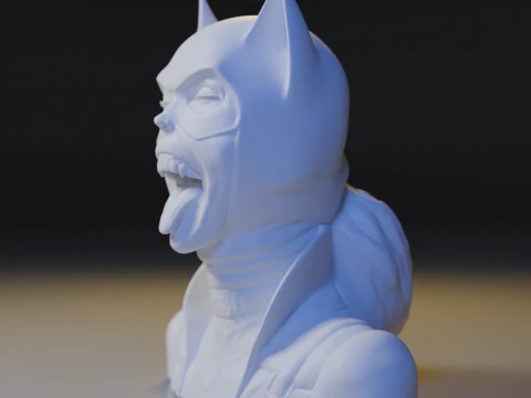 The catwoman 3D Print Model