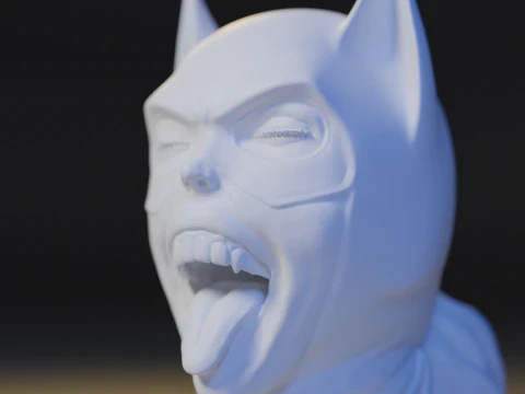 The catwoman 3D Print Model