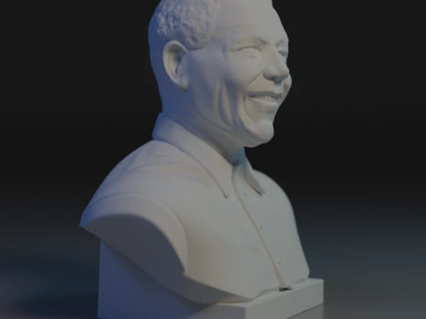 Nelson Mandela 3D Print Model