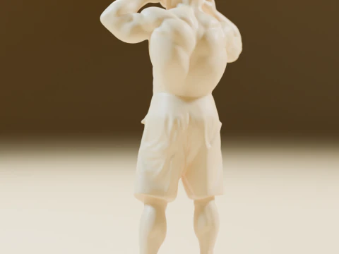 Mestre Kame Master Roshi 3D Print Model