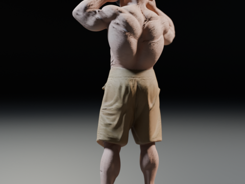 Mestre Kame Master Roshi 3D प्रिंट मॉडल