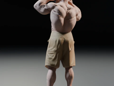 Mestre Kame Master Roshi 3D Print Model