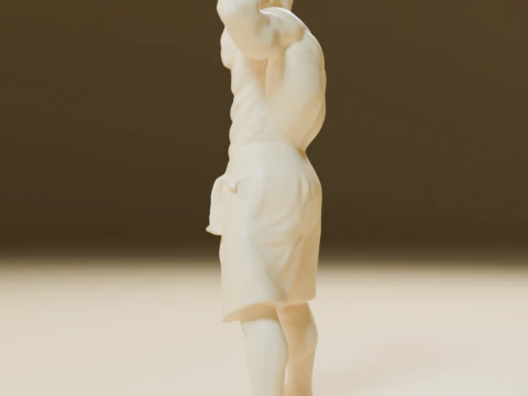 Mestre Kame Master Roshi 3D Print Model