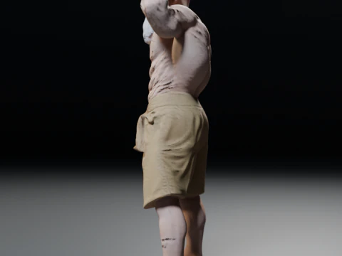 Mestre Kame Master Roshi 3D Print Model