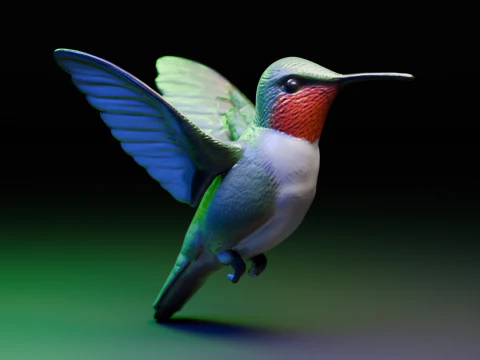 Hummingbird 3D Print Model
