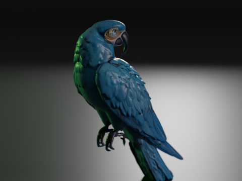 Blue macaw Modello di stampa 3D