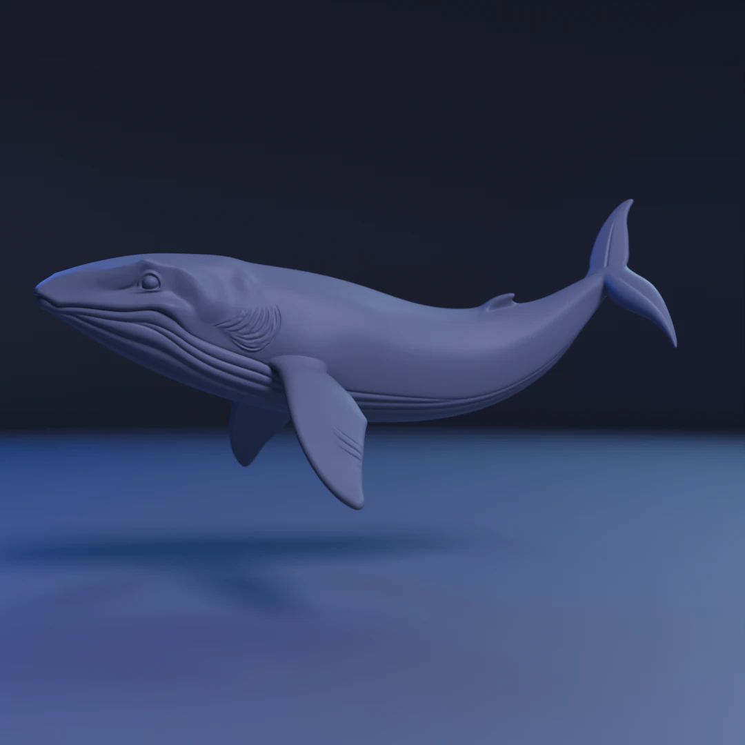Whale 3D Print Model .c4d .max .obj .3ds .fbx .stl .blend 