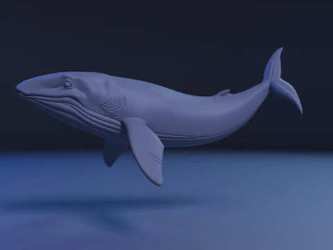 Whale 3D Print Model