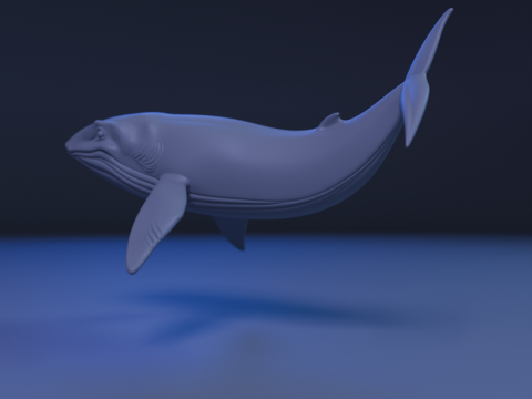 Whale 3D Baskı Modeli