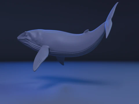 Whale 3D Print Model