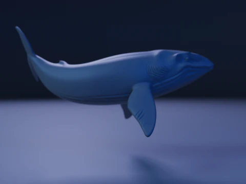 Whale 3D Print Model