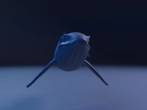 Whale 3D Print Model