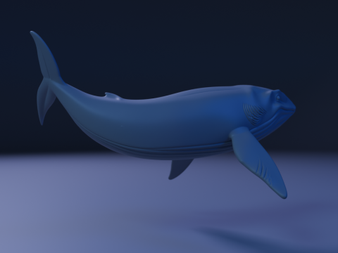 Whale 3D Baskı Modeli