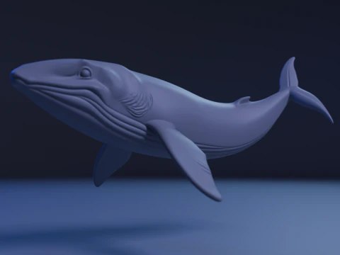 Whale 3D Print Model