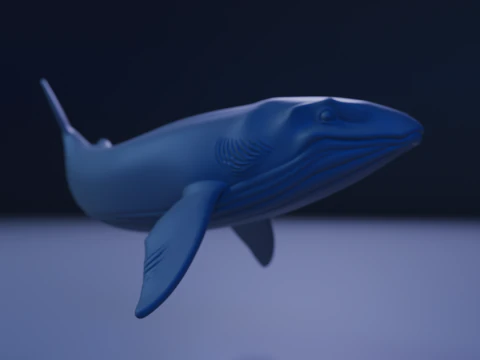 Whale 3D Print Model