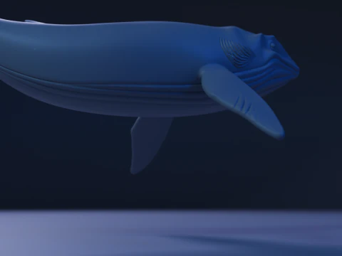 Whale 3D Print Model