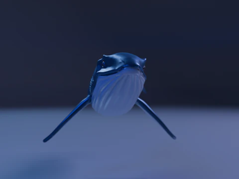 Whale 3D Print Model
