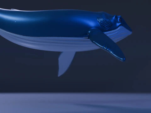 Whale 3D Print Model