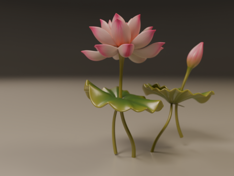 Lotus flower 3D 프린트 모델