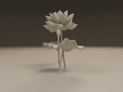 Lotus flower 3D Print Model