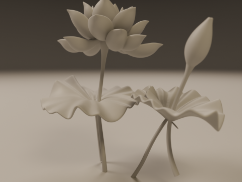 Lotus flower 3D 프린트 모델