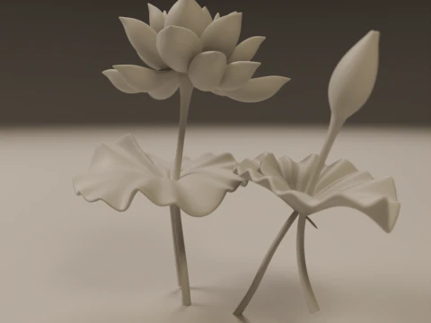 Lotus flower 3D Print Model
