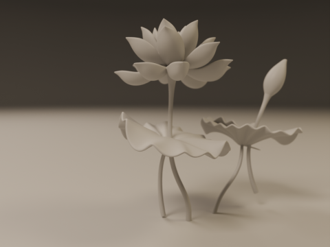 Lotus flower 3D 프린트 모델