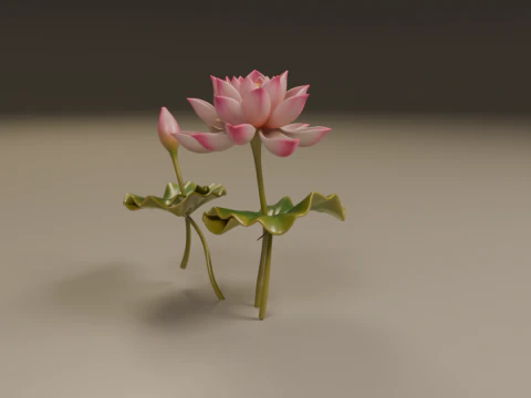 Lotus flower 3D Print Model