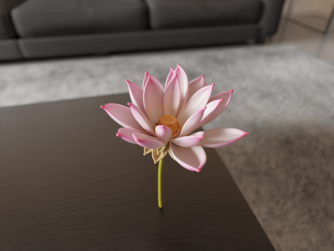 Lotus flower 3D Print Model