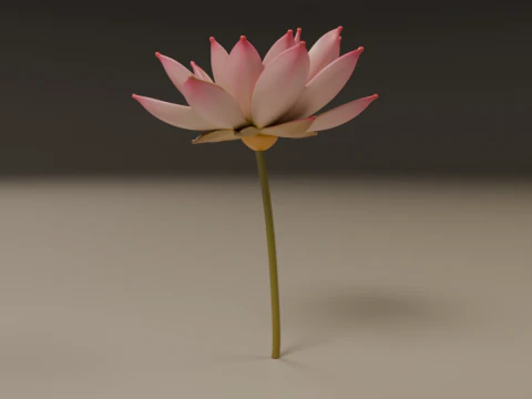 Lotus flower 3D Print Model